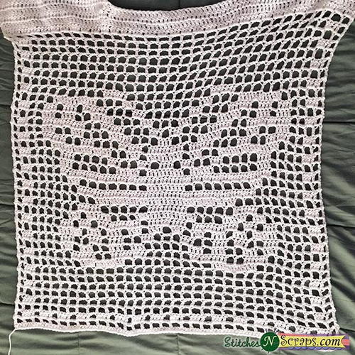 Butterfly Free Filet Crochet Pattern