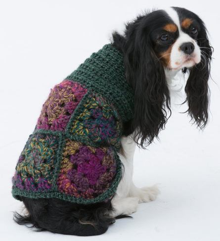 Hippie Dog Sweater Free Crochet Pattern