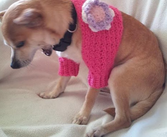 Pink Dog Shrug Free Crochet Pattern