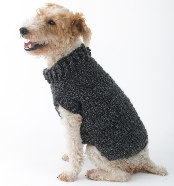 Poet Dog Sweater Free Crochet Pattern