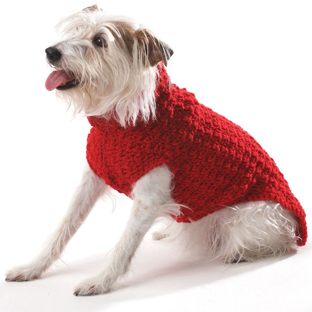 Red Dog Sweater Free Crochet Pattern